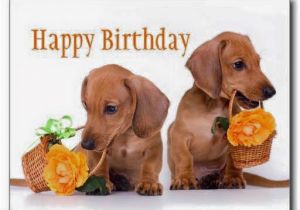 Happy Birthday Meme Dachshund Debbie913 the Stephenking Com Message Board