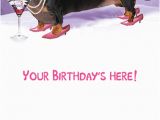 Happy Birthday Meme Dachshund Funny Birthday Ecard Quot Hot Dog Quot From Cardfool Com