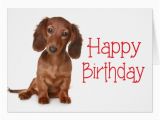 Happy Birthday Meme Dachshund Happy Birthday Dachshund Puppy Dog Card Zazzle Com