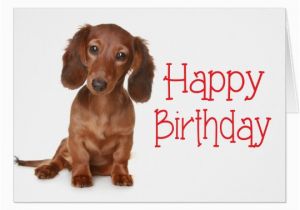 Happy Birthday Meme Dachshund Happy Birthday Dachshund Puppy Dog Card Zazzle Com