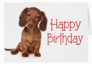 Happy Birthday Meme Dachshund Happy Birthday Dachshund Puppy Dog Card Zazzle