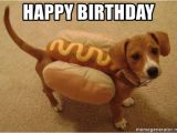 Happy Birthday Meme Dachshund Happy Birthday Hot Dog Weiner Dog Meme Generator