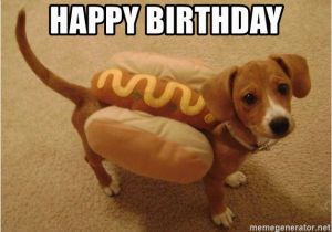 Happy Birthday Meme Dachshund Happy Birthday Hot Dog Weiner Dog Meme Generator