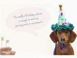 Happy Birthday Meme Dachshund Happy Birthday Memes Dog Wishesgreeting