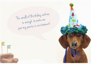 Happy Birthday Meme Dachshund Happy Birthday Memes Dog Wishesgreeting