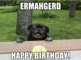 Happy Birthday Meme for A Friend 20 Happy Birthday Memes for Your Best Friend