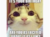 Happy Birthday Meme with Cats 45 Cat Birthday Memes Wishesgreeting