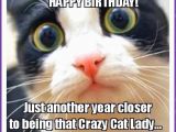 Happy Birthday Meme with Cats Happy Birthday Memes with Funny Cats Dogs and Cute Animals