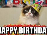 Happy Birthday Meme with Cats Incredible Happy Birthday Memes for You top Collections