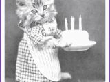 Happy Birthday Memes Cute Happy Birthday Memes with Funny Cats Dogs and Cute Animals