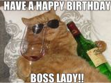 Happy Birthday Memes for Boss It 39 S the Head Cat 39 S Birthday thecatsite