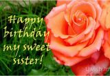 Happy Birthday My Sweet Sister Quotes Happy Birthday My Sweet Sister with Rose Uwish Wishes