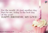 Happy Birthday Quotes for A Lover Happy Birthday My Love Quotes Quotesgram