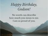 Happy Birthday to My Godson Quotes Birthday Wishes for Your Godson