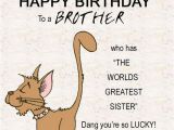 Happy Birthday to My Little Brother Funny Quotes 200 Best Birthday Wishes for Brother 2019 My Happy