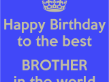 Happy Birthday to the Best Sister In the World Quotes Happy Birthday to the Best Brother In the World 6 Png 800