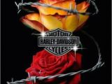 Harley Davidson Birthday Cards for Facebook 66 Best Images About Birthday On Pinterest Rock Stars