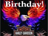 Harley Davidson Birthday Cards for Facebook Happy Birthday Harley Davidson Eagle Verjaardagspins