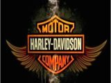 Harley Davidson Birthday Cards for Facebook Happy Birthday Harley Davidson Harley Davidson Pics