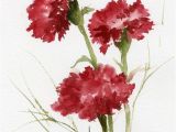 January Birthday Flowers January Birthday Flowers Sale 50 Off Price Red Carnation