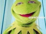 Kermit the Frog Birthday Meme 63 Best Comedy Kermit Memes Images On Pinterest