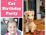 Kitty Cat Birthday Party Decorations Kitty Cat Birthday Party Jonesing2create
