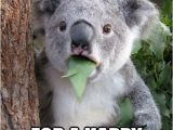 Koala Birthday Meme 7 Best Nutrition Jokes Images On Pinterest Classroom