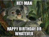Koala Birthday Meme Hey Man Happy Birthday or Whatever Laid Back Koala