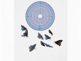 Labyrinth Birthday Card Labyrinth with butterflies Greeting Card Zazzle