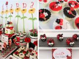 Ladybug Birthday Decorations Ideas Kara 39 S Party Ideas Lovebug Ladybug Birthday Party Ideas