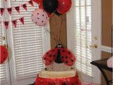 Ladybug First Birthday Decorations 17 Best Images About 1st Birthday Ladybug Cake Skirts