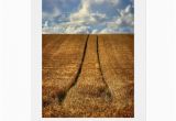 Left Field Birthday Cards Been and Gone Wheat Field Happy Birthday Greeting Card