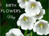 Lily Of the Valley Birthday Flowers Birth Flowers May Lily Of the Valley Hawthorn
