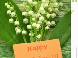 Lily Of the Valley Birthday Flowers Happy Birthday and Bouquet Of Delicate Fresh Lilies Of the
