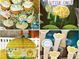 Lion King Birthday Decorations Safari Inspired Lion King Baby Shower Hostess with the