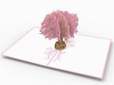 Lovepop Birthday Cards Magnolia Tree Lovepop Greeting Card at Signals Hu8172