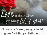 Loving Birthday Memes Have Fr Lovecatsworldcom Love is A Flower You Got to Let