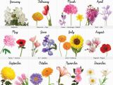 Monthly Birthday Flowers A Visual Guide to Wedding Flowers by Month Wedding