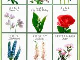 Monthly Birthday Flowers Birth Flowers for Each Month Flowers Ideas for Review