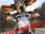 Motorcycle Birthday Meme 15 top Happy Birthday Motorcycle Meme Jokes Quotesbae