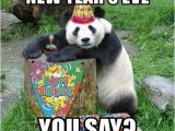 New Years Birthday Meme New Year 39 S Eve You Say Happy Birthday Panda Meme