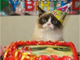 Nice Birthday Memes Nice Cake I Wanted Chocolate Grumpy Birthday Quickmeme