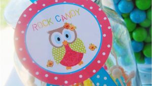 Owl 1st Birthday Decorations Kara 39 S Party Ideas Aloha Owl 1st Birthday Party Via Kara