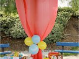 Park Birthday Party Decorations Dollar Tree Tablecloth Hung Up to Hide the Poles Park