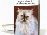Persian Birthday Cards Humorous Birthday Card Ecstatic Persian Cat Card 1370848