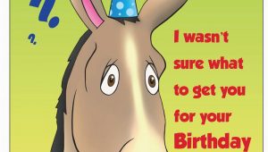 Really Big Birthday Cards Greeting Cards Birthday Donkey Really Big Greeting Card