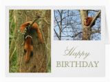 Red Panda Birthday Card Red Panda Birthday Greeting Card Zazzle