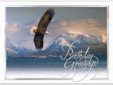 Scenic Birthday Cards soaring Eagle Birthday Card Scenic Birthday Cards