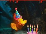 Scuba Diving Birthday Cards Birthday Boat Dive at Pt Loma Power Scuba San Diego