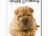 Shar Pei Birthday Card Happy Birthday Chinese Shar Pei Puppy Dog Card Post Card
